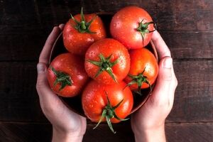 فواید و مضرات گوجه فرنگی در طب سنتی