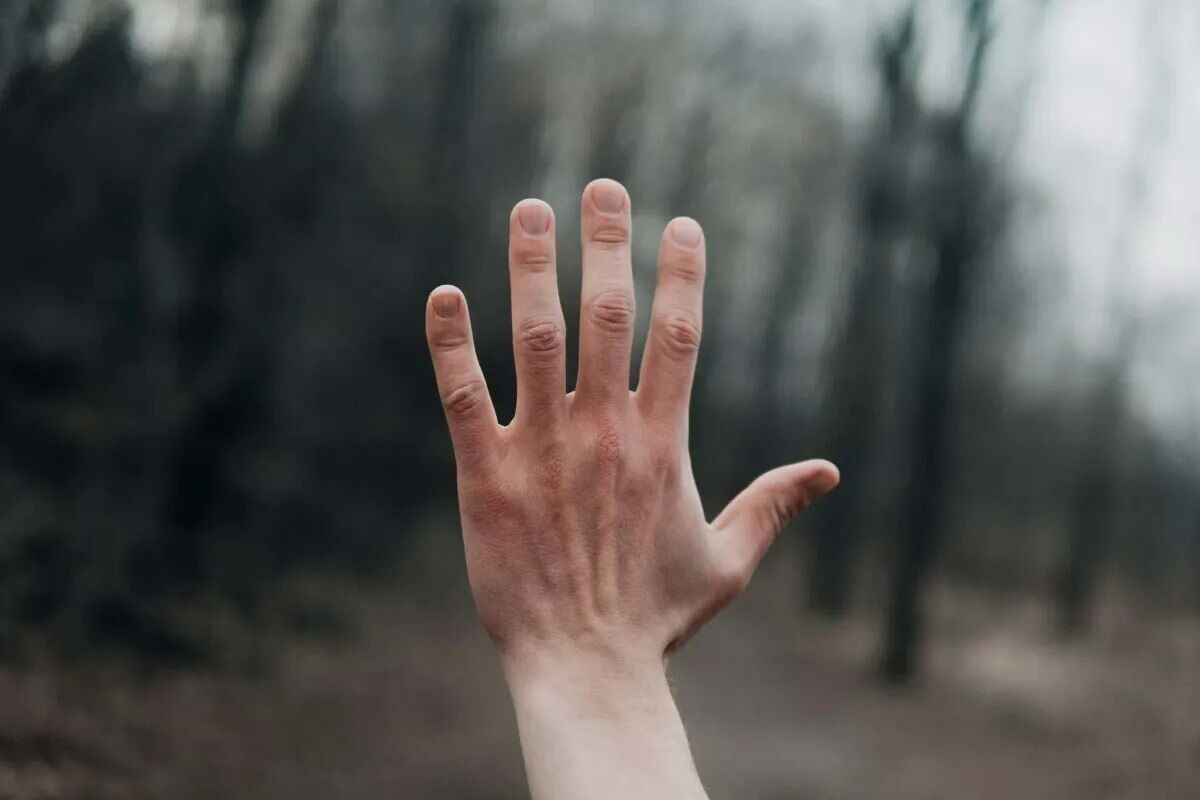 چرا انسان‌ها در هر دست‌ و پاهای خود ۵ انگشت دارند؟ 