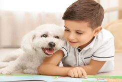 سگ و گربه برای کودکان آلرژی زا هستند