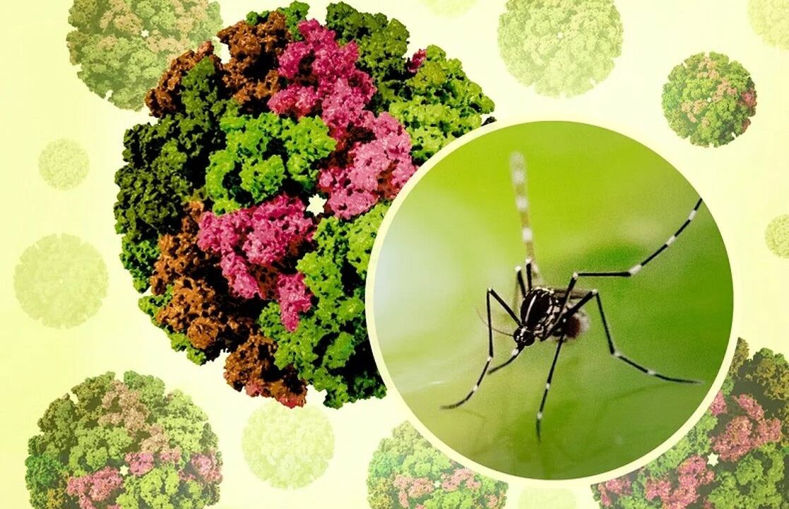 شیوع یک بیماری جدید در چین؛ از بیماری «خمیده راه رفتن» چه می‌دانیم؟ 