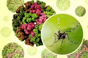 شیوع یک بیماری جدید در چین؛ از بیماری «خمیده راه رفتن» چه می‌دانیم؟ 