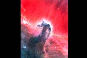 عکس روز ناسا از «سحابی سر اسب»