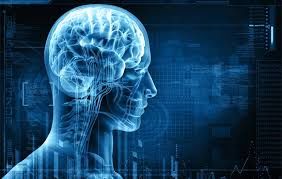 بهترین روش‌های جوان نگهداشتن مغز