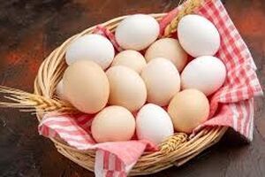 همۀ آنچه باید دربارۀ نگه‌داری از «تخم‌مرغ» بدانیم 