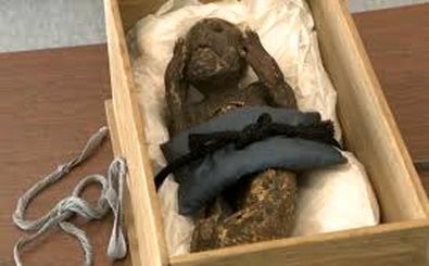 راز شگفت‌انگیز پری دریایی مومیایی شده در ژاپن