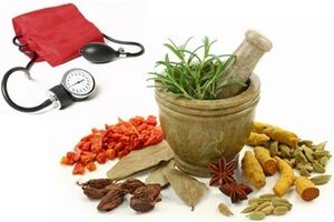 داروسازی سنتی ایران در ویترین پژوهش‌های پراستناد بین‌المللی قرار گرفت 