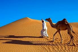 چرا عربستان با وجود بیابان‌های بی‌پایان شن وارد می‌کنند؟ 