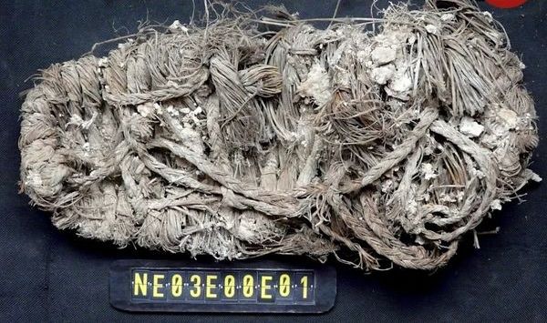 این کفش 650 ساله در لانۀ یک «همای سعادت» پیدا شد