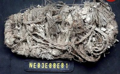 این کفش 650 ساله در لانۀ یک «همای سعادت» پیدا شد