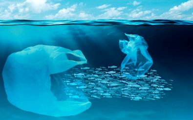 ساخت ربات‌های‌ زیستی برای پاکسازی خُردپلاستیک‌ها از دریا