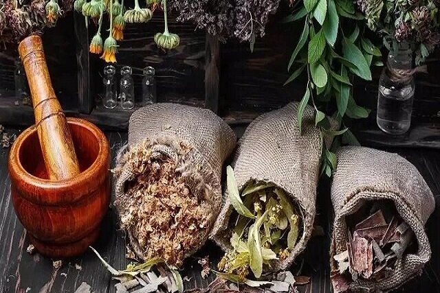 طراحی و ساخت اپلیکیشن شناسایی و تشخیص تقلب‌ در گیاهان دارویی