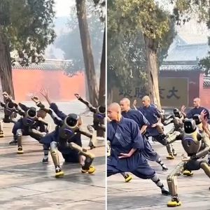 ربات‌ها در معبد شائولین/ ویدئو