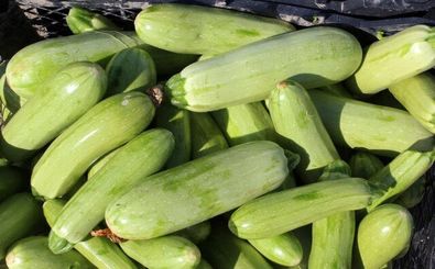 یک خوردنی کم‌کالری برای کاهش نفخ