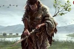 کشف قدیمی‌ترین ابزار چوبی دنیا؛ میراث ۴۳۰هزار ساله انسان در قلب یونان آشکار شد 