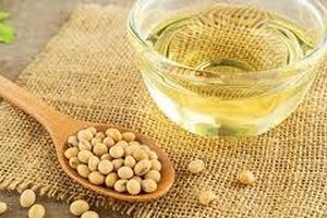 دانشمندان محرک چاقی در روغن سویا را کشف کردند 