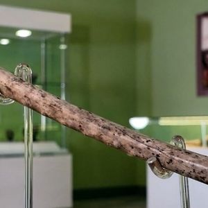 «فلوت» ۸ هزار سالۀ ایرانی که در شاهرود کشف شد