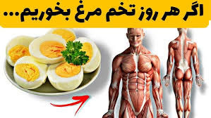 چرا بهتره هر روز تخم مرغ بخوریم؟/ ویدئو