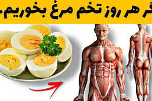 چرا بهتره هر روز تخم مرغ بخوریم؟/ ویدئو