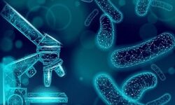تولید بومی استارترهای لبنی؛ گام دانش‌بنیان برای کاهش وابستگی به واردات