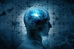 فناوری مدرن چگونه مغز انسان را تحت فشار قرار داده است؟