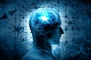 فناوری مدرن چگونه مغز انسان را تحت فشار قرار داده است؟