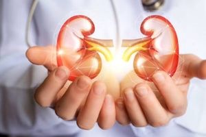 علائم سنگ کلیه چیست و چه افرادی بیشتر در معرض ابتلا هستند؟