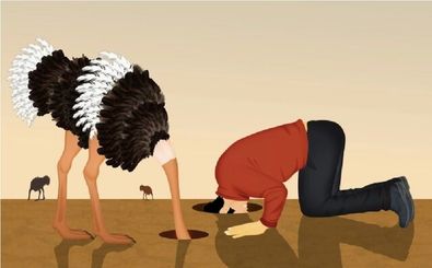 چرا در یک سن مشخص تصمیم می‌گیریم بیشتر به مغز خود استراحت دهیم؟ 