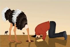چرا در یک سن مشخص تصمیم می‌گیریم بیشتر به مغز خود استراحت دهیم؟ 