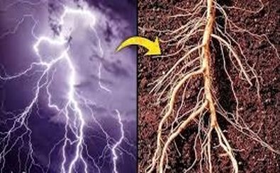 شباهت باورنکردنی کهکشان و انسان 