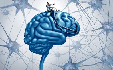 مغز یا ذهن؟ راز ناکامی در درک 7 تفاوت این دو نهفته است
