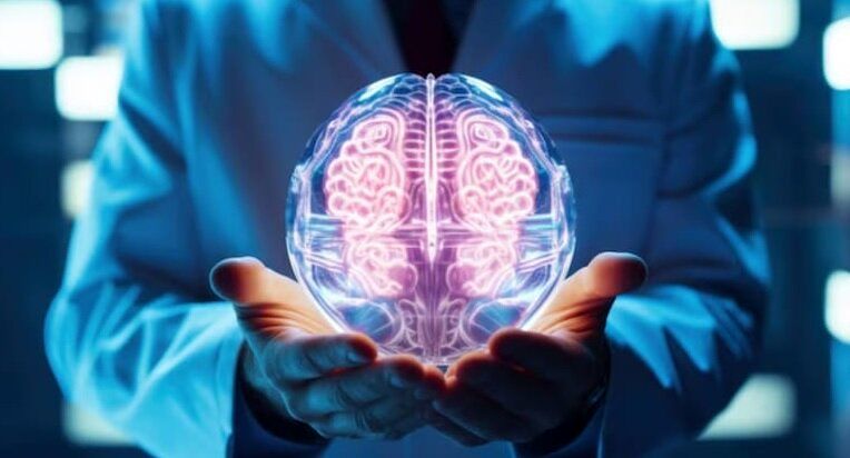 چربی مغز نقش مهمی در ایجاد آلزایمر دارد