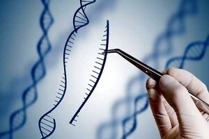 برش DNA سلول‌های بیمار با «قیچی ژنتیکی» جدید